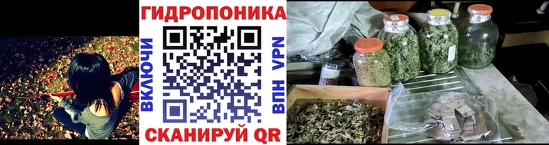 продажа наркотиков  Пятигорск  Бошки Шишки планчик 